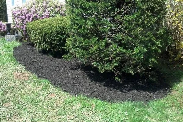 Professional landscaping services for homes across Sabattus, ME - Four Seasons Landscape & Property Maintenance