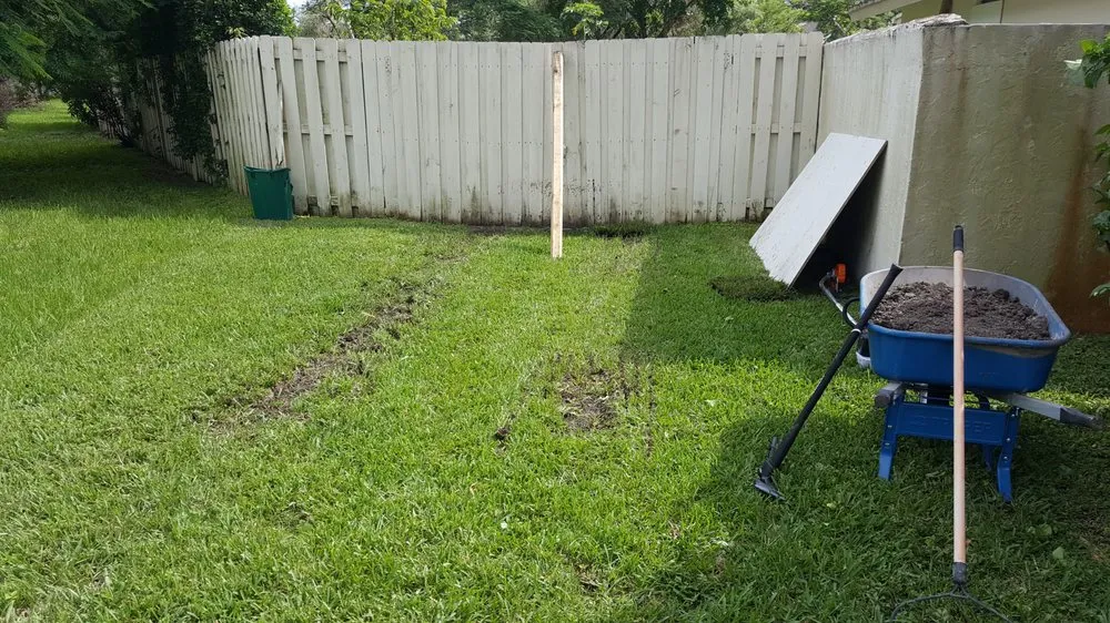 Reliable residential landscaping in Three Lakes, FL - Four Seasons Landscape Architecture