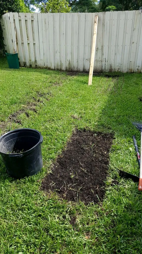 Reliable yard cleanup service experts serving Three Lakes, FL - Four Seasons Landscape Architecture