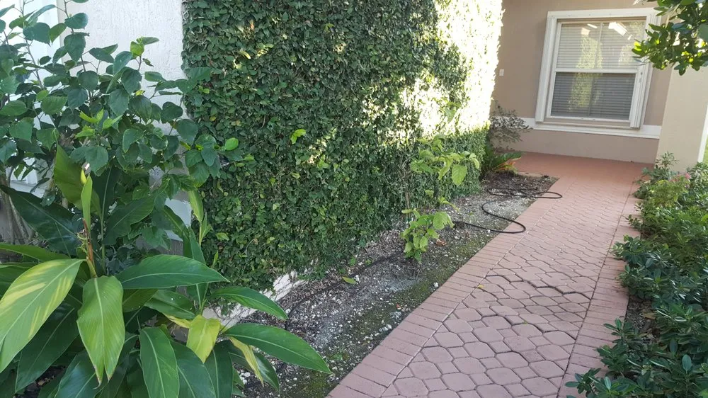 Affordable lawn mowing service experts serving Three Lakes, FL - Four Seasons Landscape Architecture