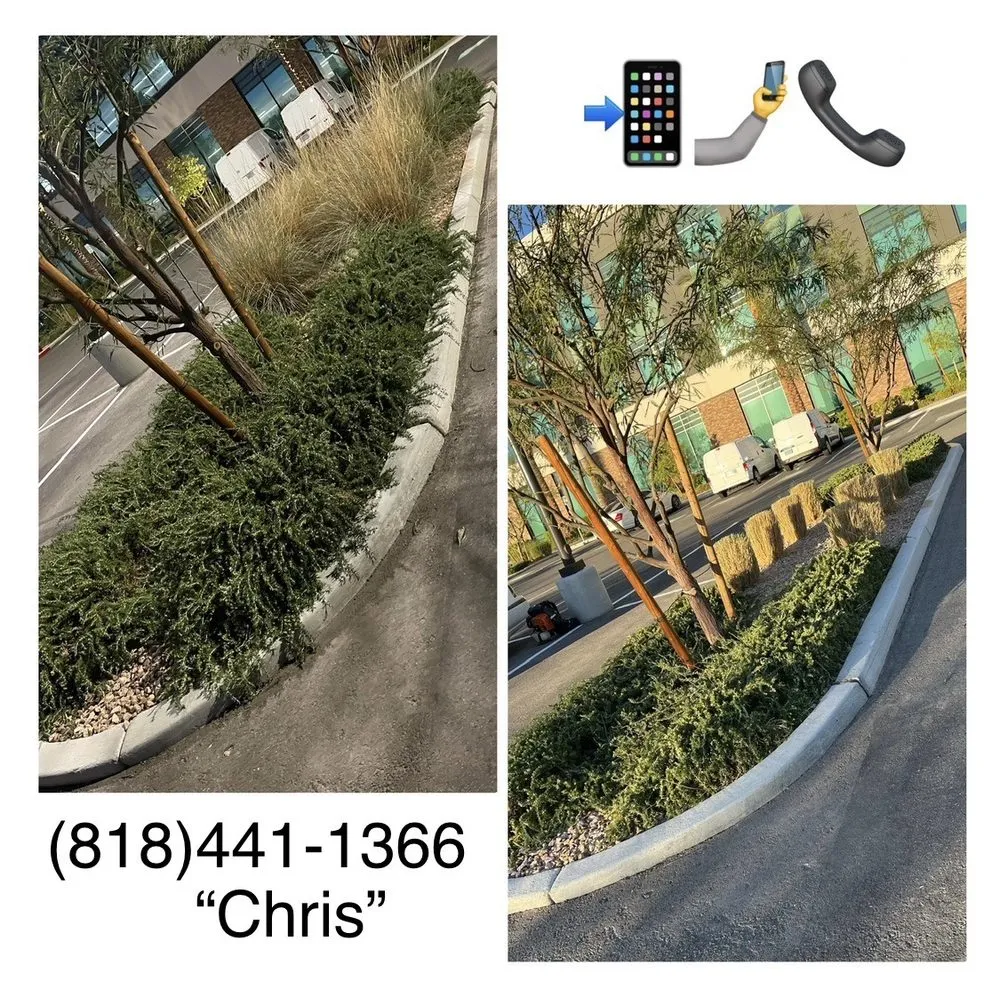 Custom yard maintenance experts serving Las Vegas, NV - Four Seasons Landscape
