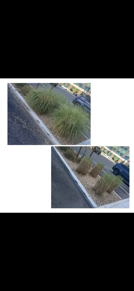 Custom residential landscaping experts serving Las Vegas, NV - Four Seasons Landscape