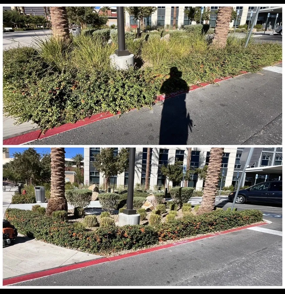 Reliable landscape installation experts serving Las Vegas, NV - Four Seasons Landscape