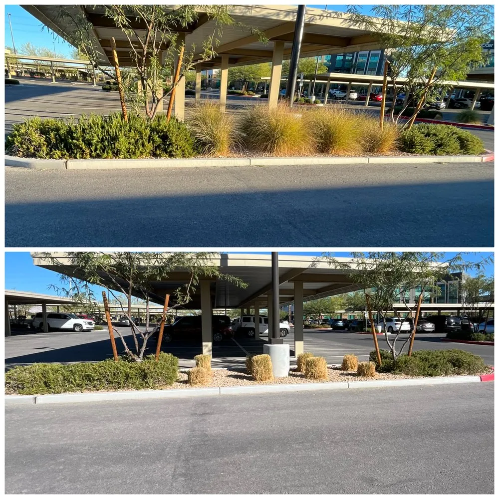 Trusted lawn mowing service in Las Vegas, NV - Four Seasons Landscape