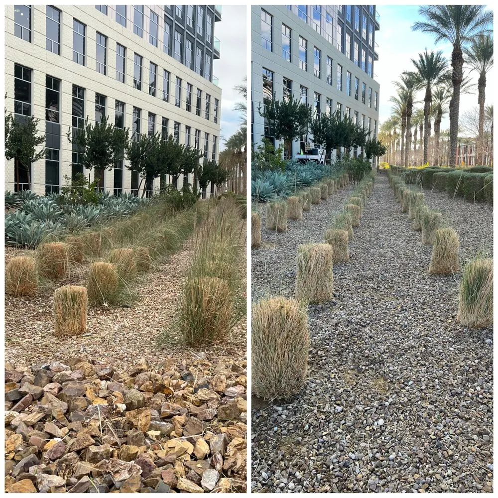 Trusted yard maintenance experts serving Las Vegas, NV - Four Seasons Landscape