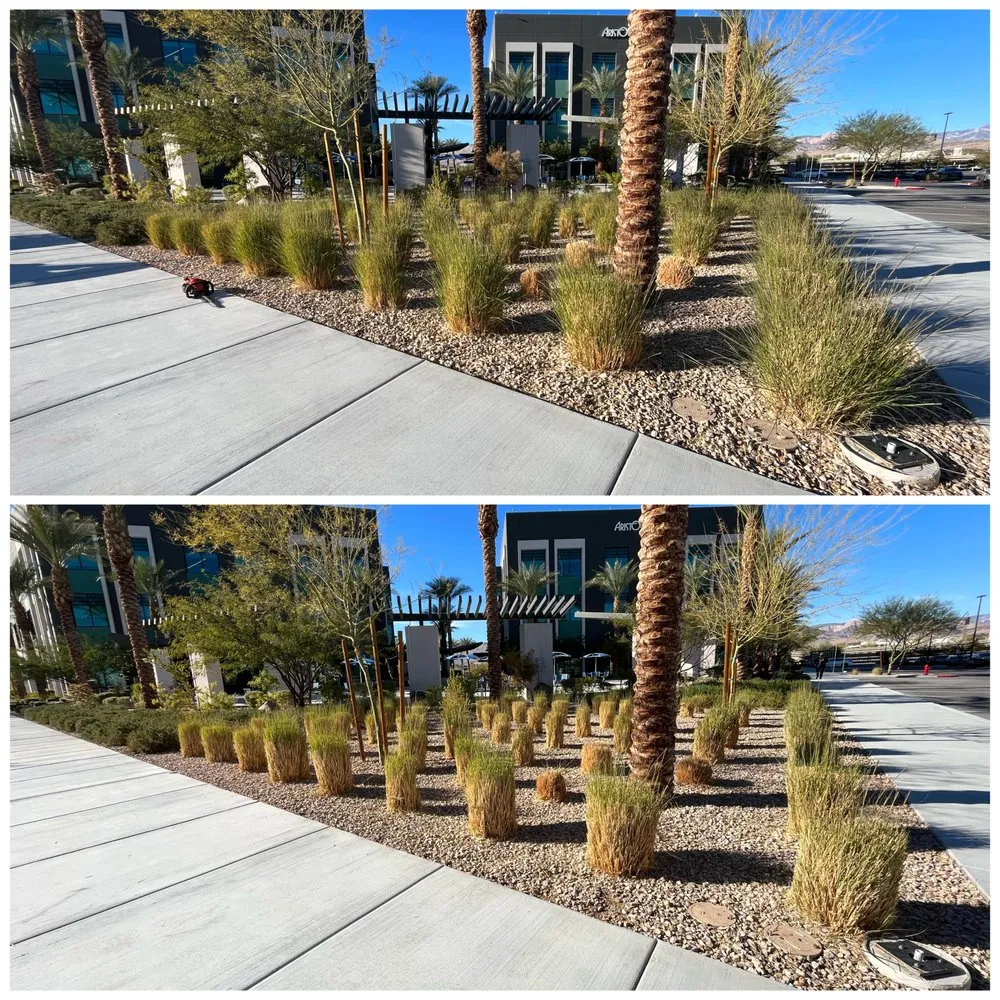 Reliable yard maintenance near you in Las Vegas, NV by Four Seasons Landscape