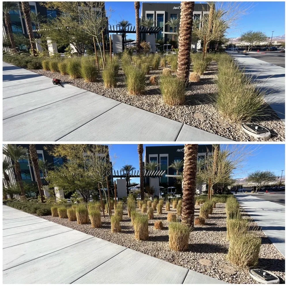 Affordable landscaping services in Las Vegas, NV by Four Seasons Landscape