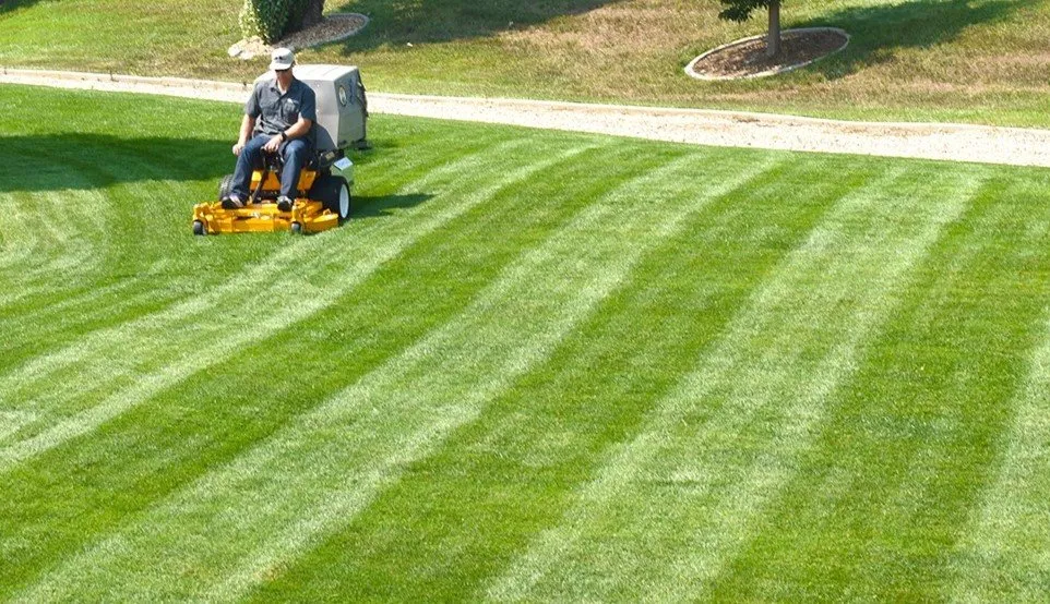 Local yard cleanup service in Loves Park, IL by Four Seasons Landscape Maintenance