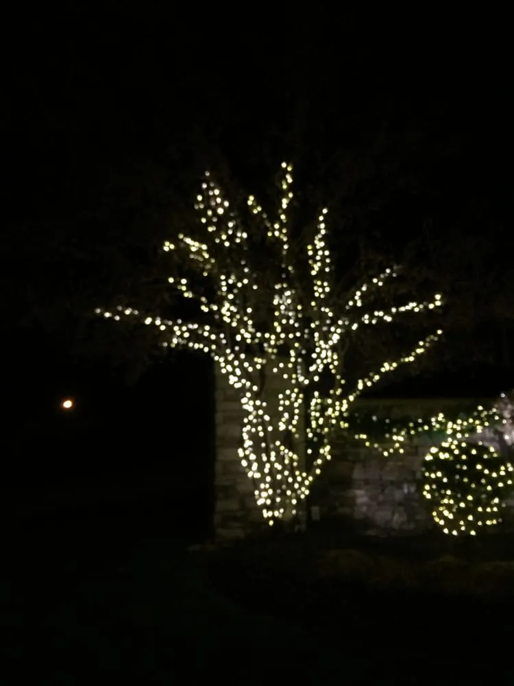 Top-rated garden landscaping experts serving Crestwood, KY - Four Seasons Landscape Management