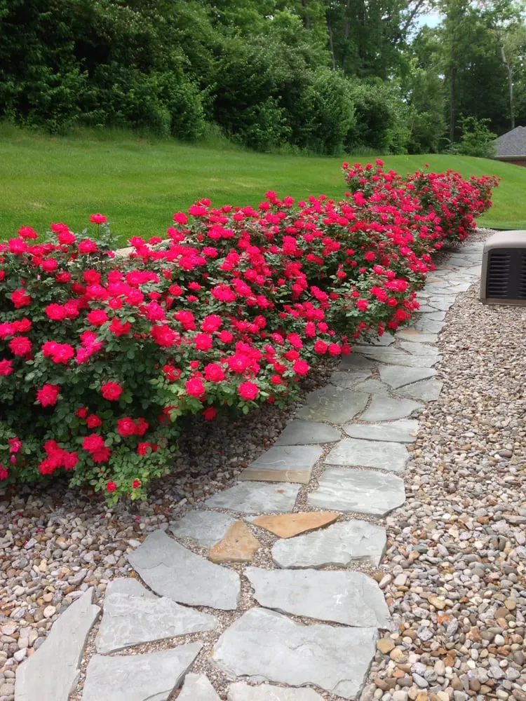 Professional residential landscaping for homes in Crestwood, KY by Four Seasons Landscape Management