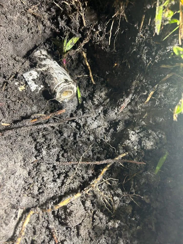 Professional garden landscaping for beautiful yards across Palm City, FL - Four Seasons Landscape Nursery