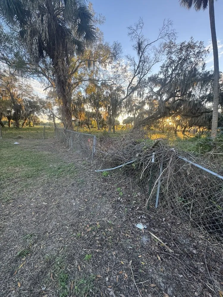Custom landscaping services for outdoor upgrades in Palm City, FL by Four Seasons Landscape Nursery