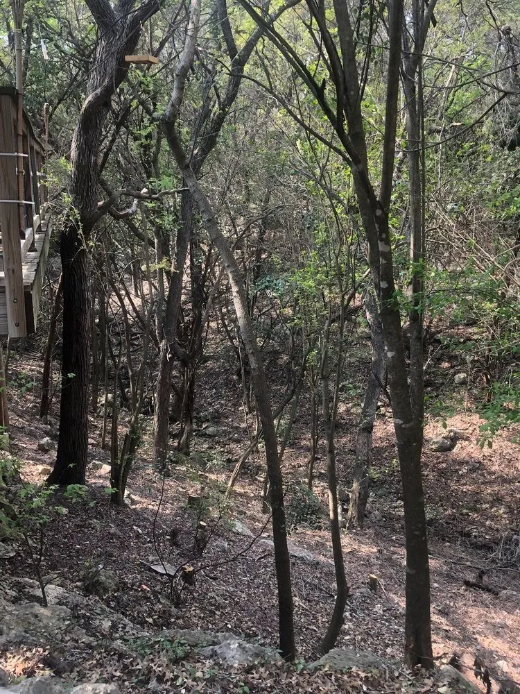 Top-rated residential landscaping for year-round maintenance in Spicewood, TX by Four Seasons Landscape
