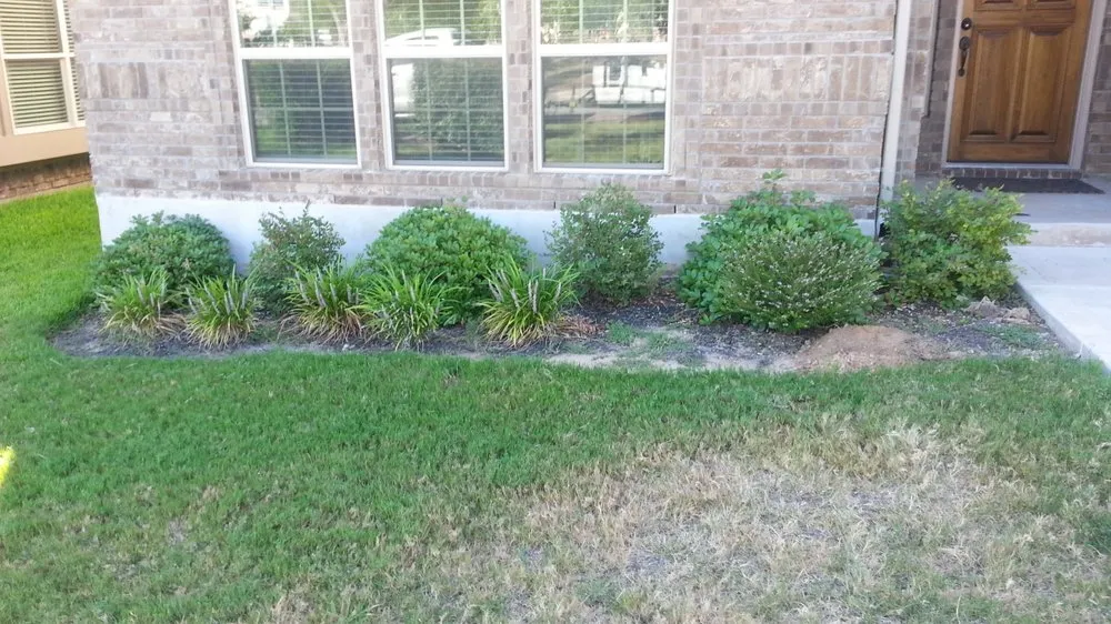 Local yard cleanup service for year-round maintenance across Spicewood, TX - Four Seasons Landscape