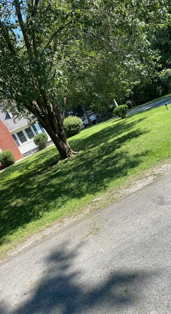 Expert lawn mowing service near you across West Point, VA - Four Seasons Landscapes