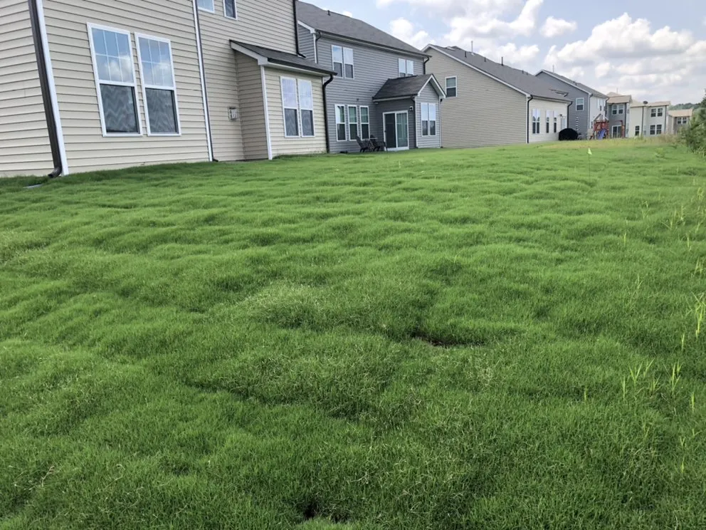 Reliable lawn mowing service for outdoor upgrades across Raleigh, NC - Four Seasons Landscaping and Maintenance