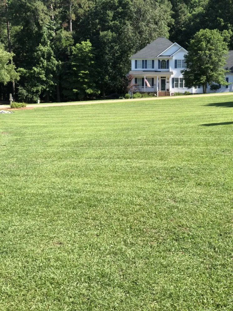 Professional lawn care service for beautiful yards across Raleigh, NC - Four Seasons Landscaping and Maintenance