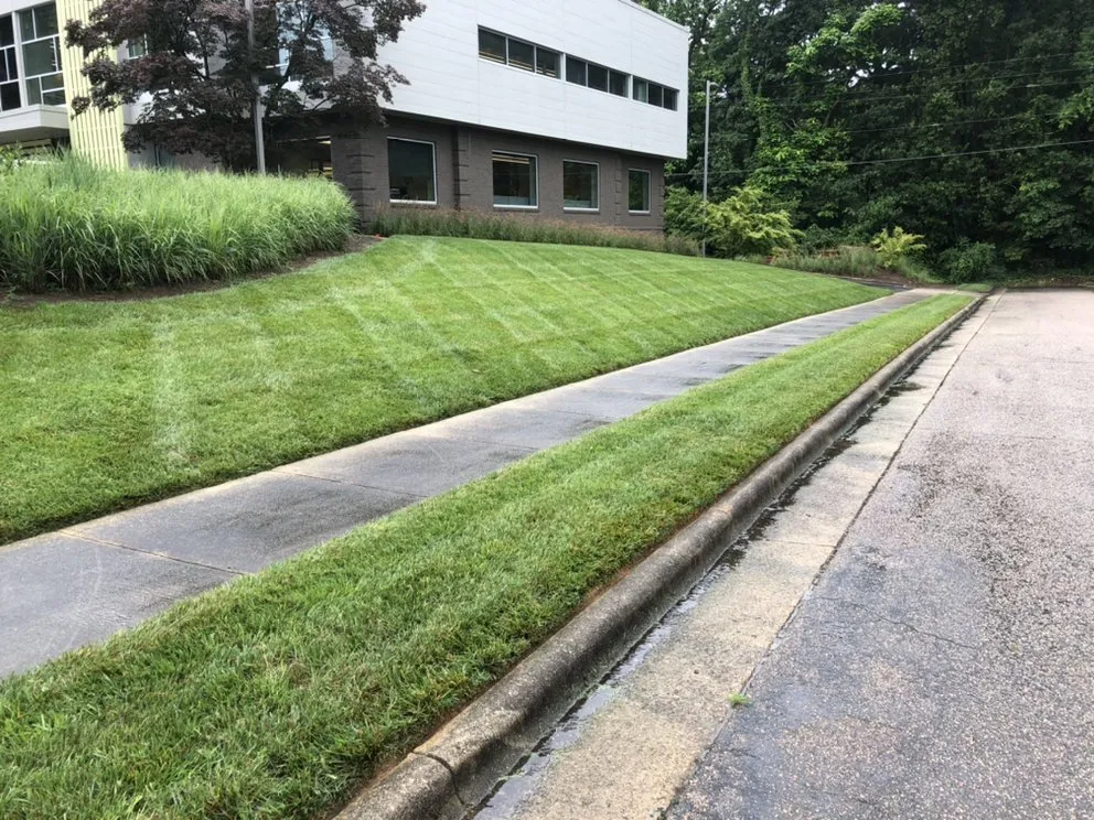 Affordable yard cleanup service in Raleigh, NC - Four Seasons Landscaping and Maintenance