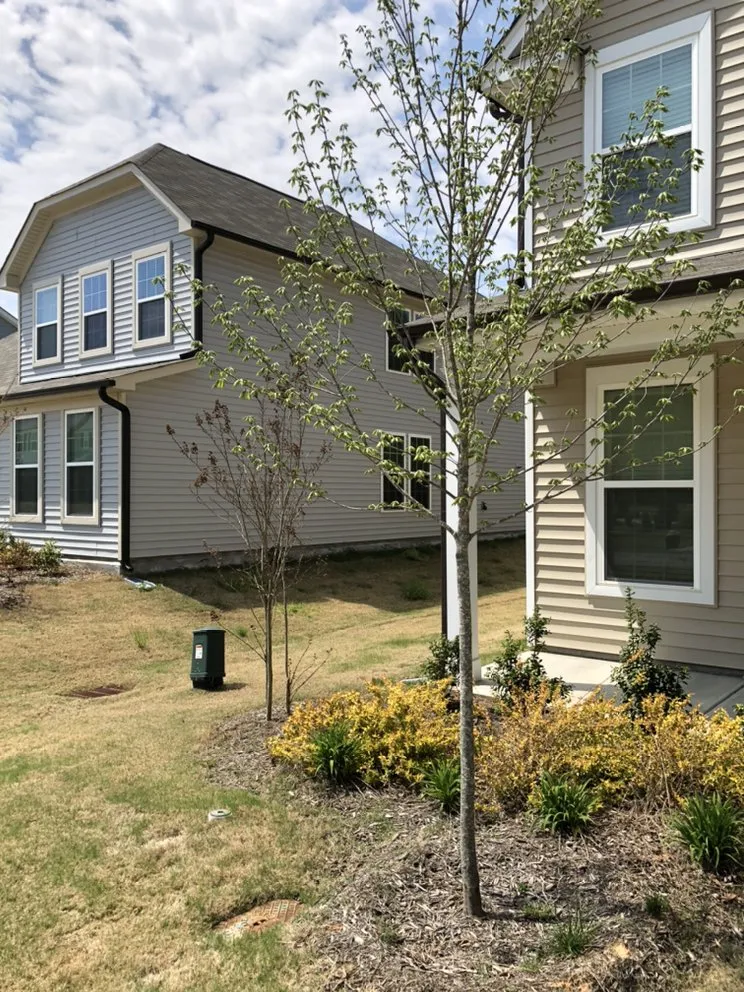 Local yard maintenance for year-round maintenance in Raleigh, NC by Four Seasons Landscaping and Maintenance