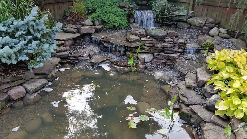 Professional yard maintenance experts serving Livonia, NY - Four Seasons Landscaping And Water Gardens