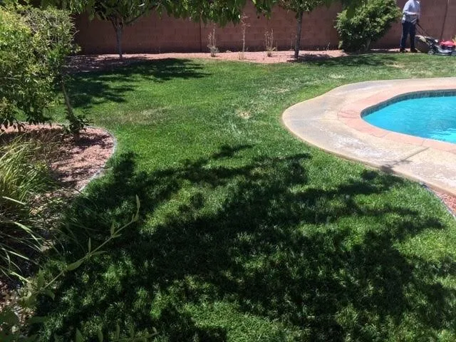 Reliable garden landscaping for outdoor upgrades across Las Vegas, NV - Four Seasons Landscaping Cons.