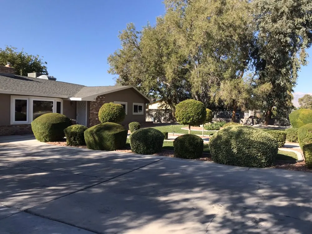 Expert yard maintenance near you in Las Vegas, NV by Four Seasons Landscaping Cons.