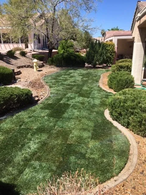 Expert landscape installation experts serving Las Vegas, NV - Four Seasons Landscaping Cons.
