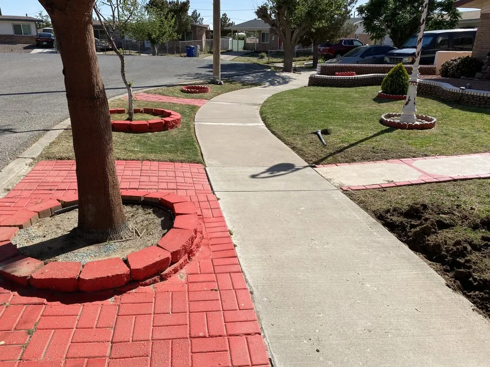 Reliable yard cleanup service experts serving El Paso, TX - Four Seasons Landscaping