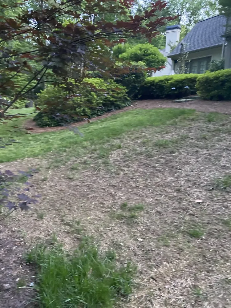 Custom yard cleanup service experts serving Ellijay, GA - Four Seasons Landscaping