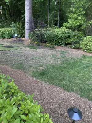 Four Seasons Landscaping