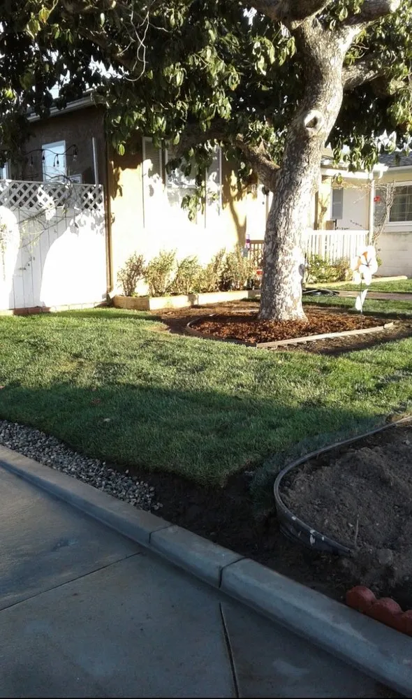 Affordable lawn mowing service in Huntington Park, CA - Four Seasons Landscaping