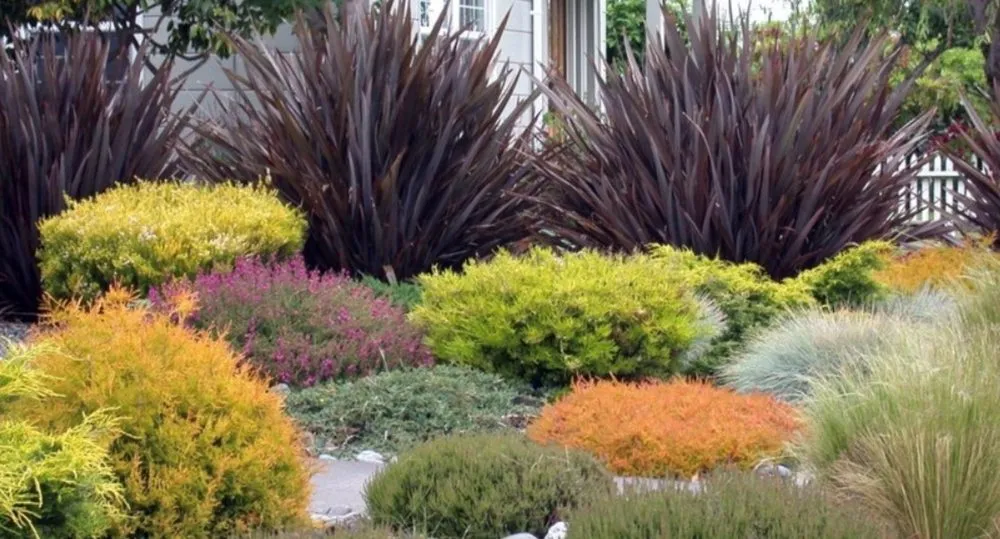 Professional outdoor landscaping in Huntington Park, CA by Four Seasons Landscaping