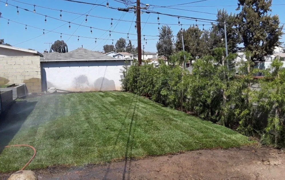 Expert outdoor landscaping experts serving Huntington Park, CA - Four Seasons Landscaping