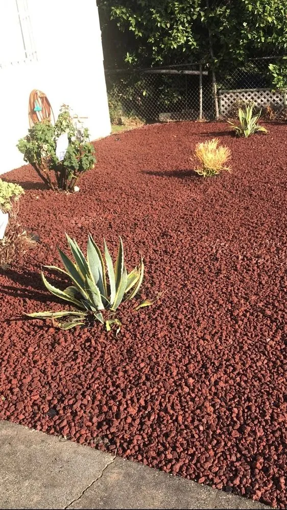 Reliable landscaping services for homes in Huntington Park, CA by Four Seasons Landscaping