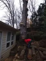 Custom lawn mowing service in Madison, VA - Four Seasons Landscaping