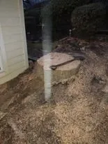 Trusted yard cleanup service in Madison, VA - Four Seasons Landscaping