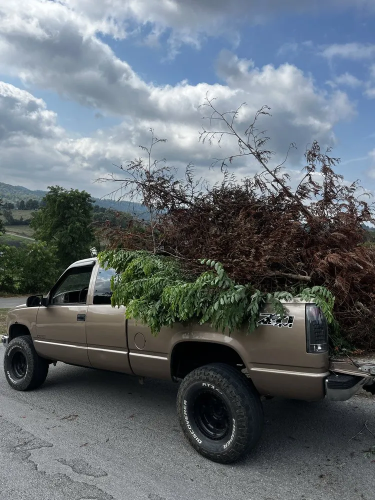 Custom lawn care service for year-round maintenance across Maynardville, TN - Four Seasons Landscaping