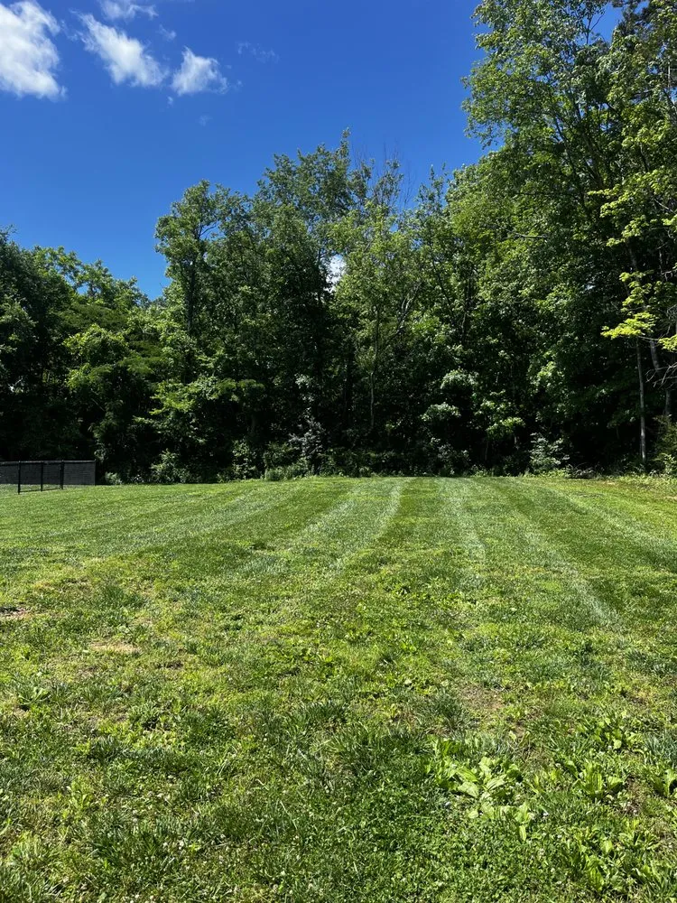 Professional yard maintenance for year-round maintenance in Maynardville, TN by Four Seasons Landscaping