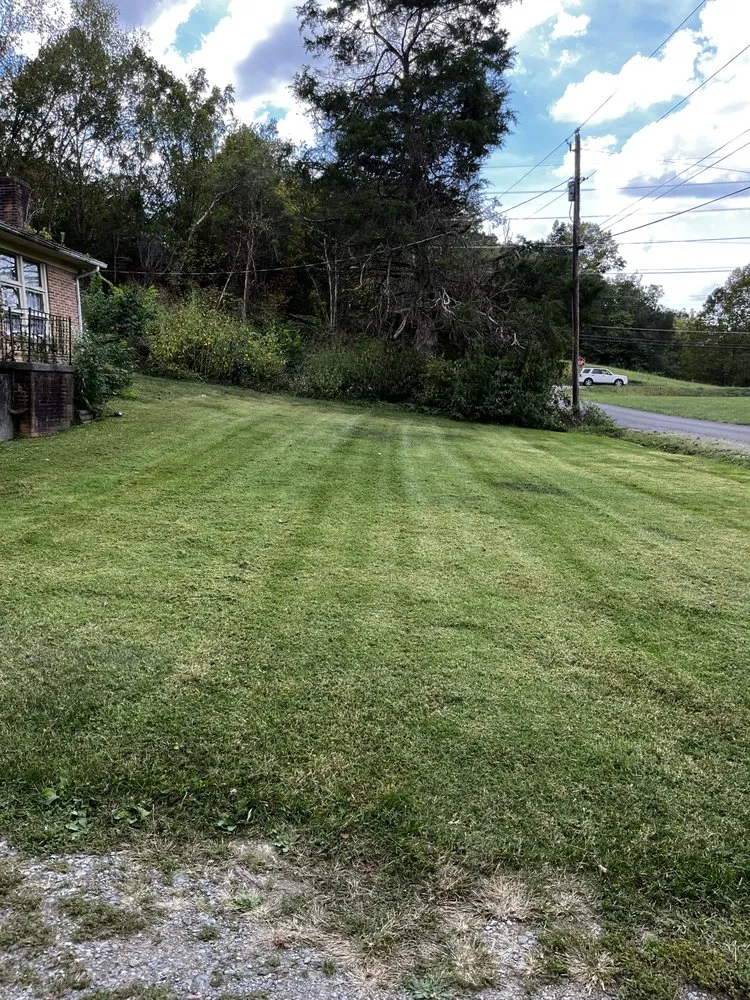 Top-rated yard cleanup service near you across Maynardville, TN - Four Seasons Landscaping