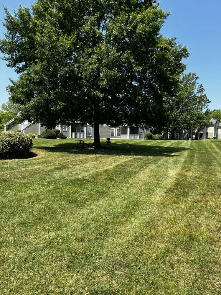 Expert landscaping services in Maynardville, TN - Four Seasons Landscaping