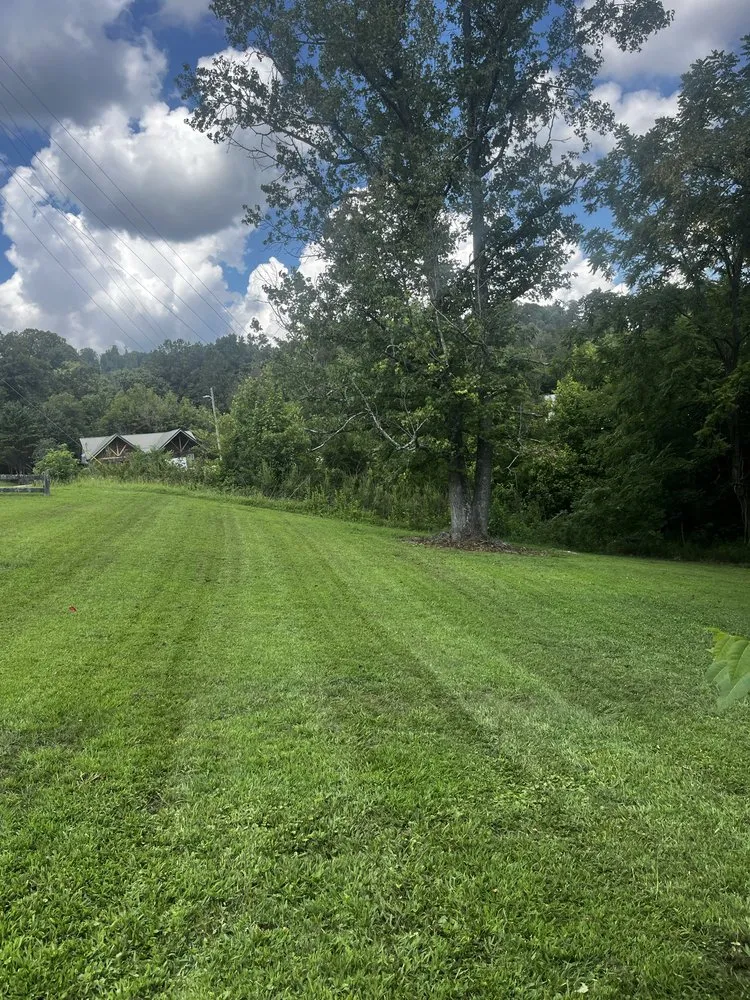 Top-rated landscaping services experts serving Maynardville, TN - Four Seasons Landscaping