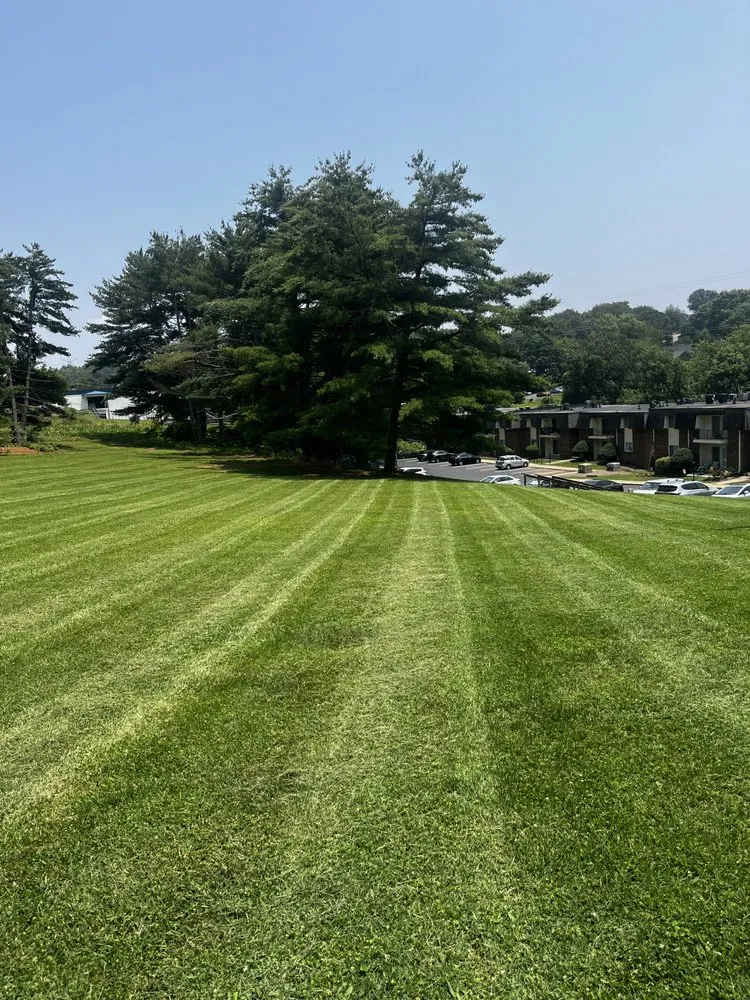 Top-rated yard cleanup service for year-round maintenance in Maynardville, TN by Four Seasons Landscaping