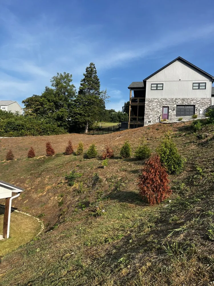 Affordable yard maintenance in Maynardville, TN by Four Seasons Landscaping