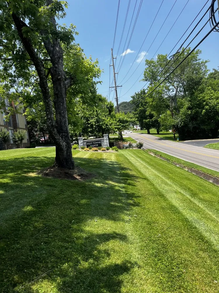 Custom landscaping services for beautiful yards in Maynardville, TN by Four Seasons Landscaping