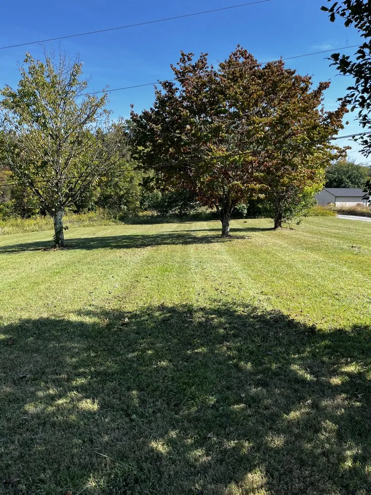 Trusted residential landscaping experts serving Maynardville, TN - Four Seasons Landscaping