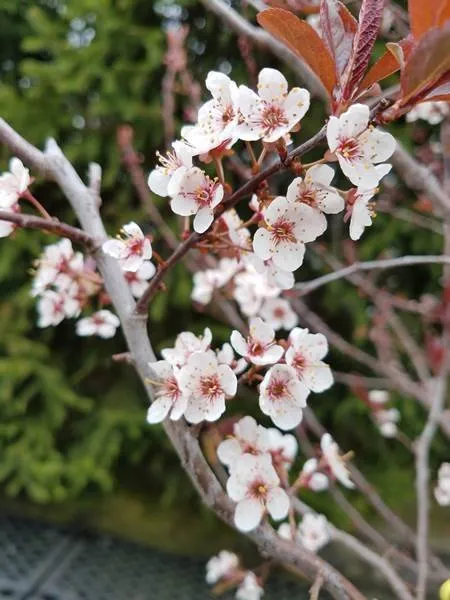 Local outdoor landscaping experts serving Valparaiso, IN - Four Seasons Landscaping Nursery