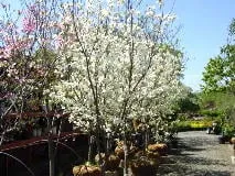 Reliable residential landscaping in Valparaiso, IN by Four Seasons Landscaping Nursery