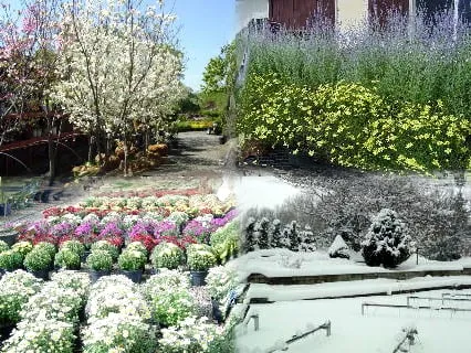 Affordable yard maintenance in Valparaiso, IN by Four Seasons Landscaping Nursery