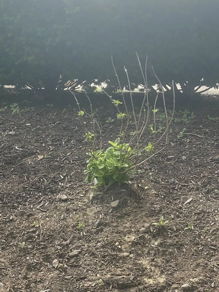 Top-rated residential landscaping in Valparaiso, IN - Four Seasons Landscaping Nursery