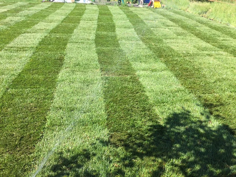 Expert yard maintenance for year-round maintenance across Park City, UT - Four Seasons Landscaping